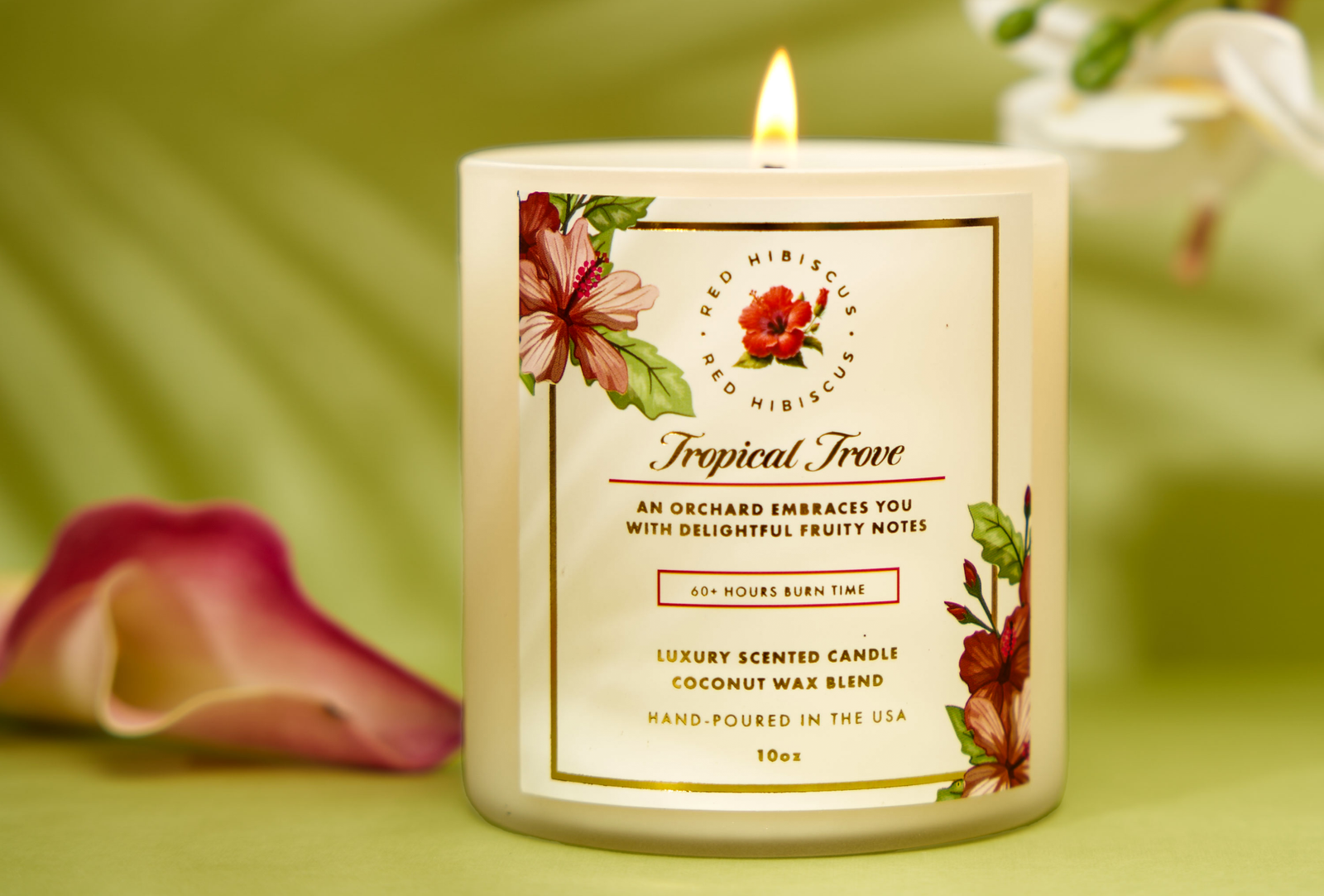 Tropical_Trove_Lifestyle-2